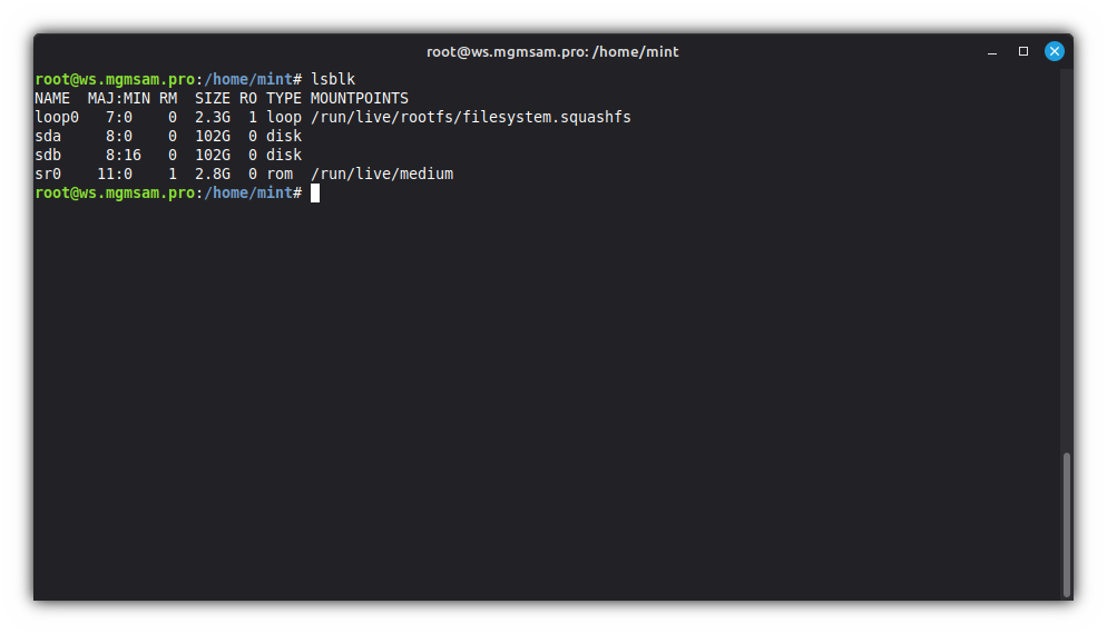 List information about block devices