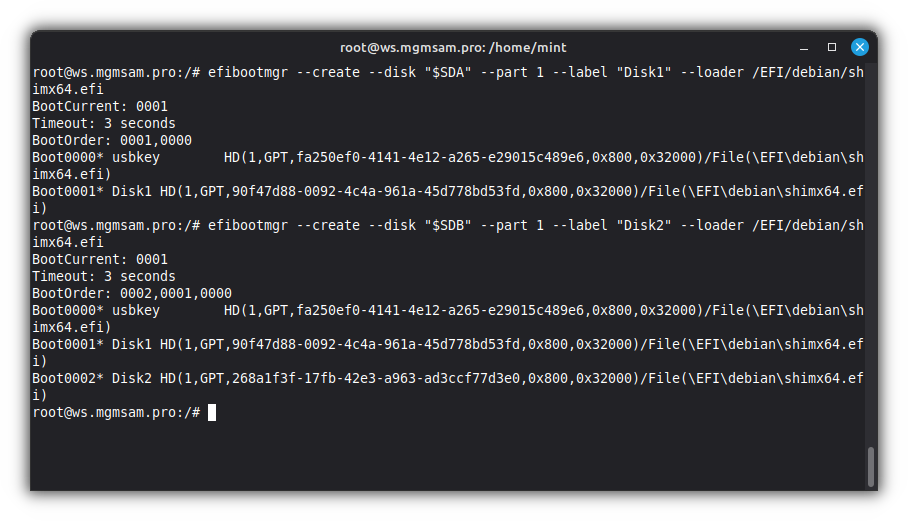 efibootmgr add sda1 and sdb1 bootloaders