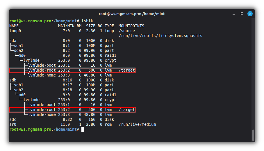 mount target lsblk